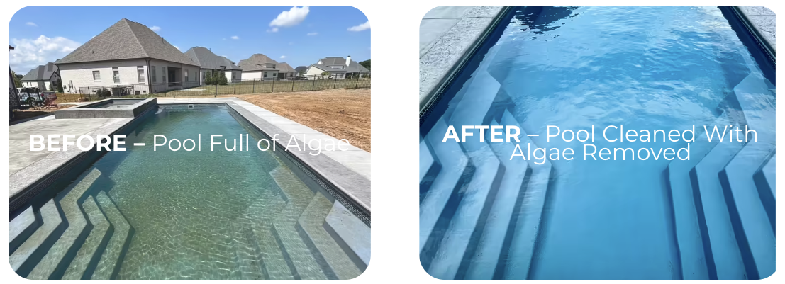 pool-algae-before-and-after